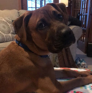 Meet your Posher, Shayne